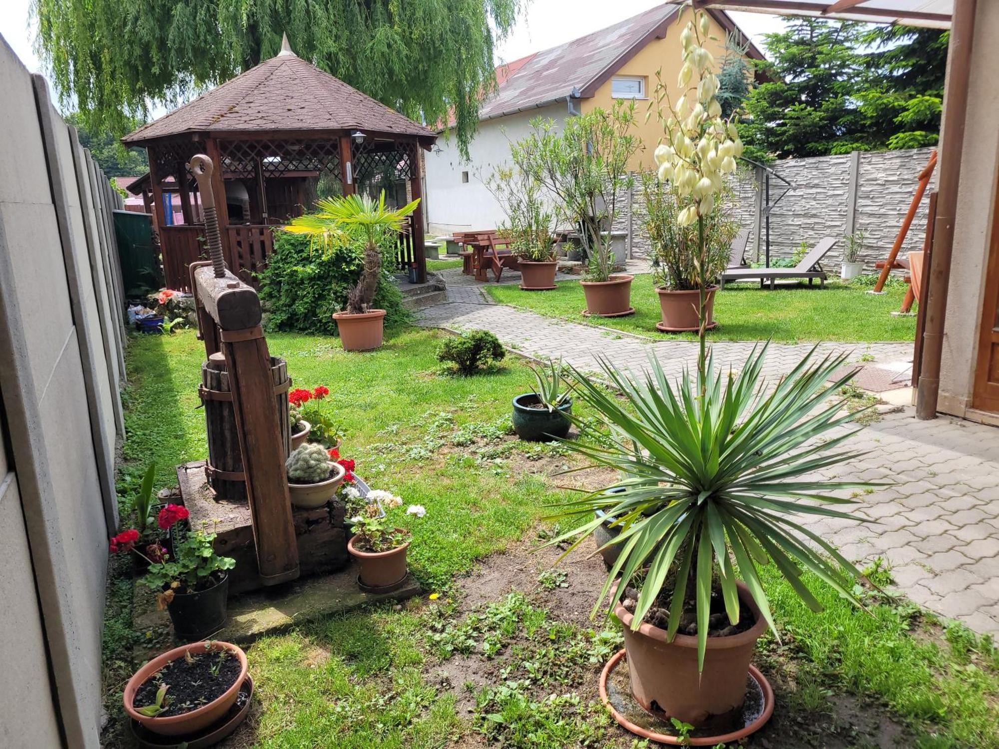 Penzion Korzo Štúrovo Exterior foto